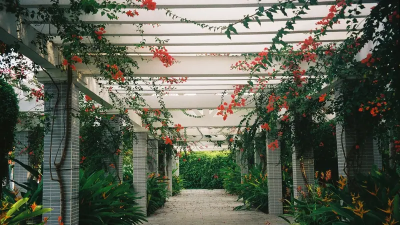 Pergole i zadaszenia tarasów: pergola nad tarasem